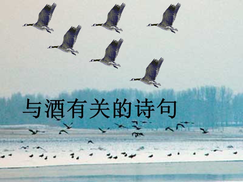 《与酒有关的诗句》PPT课件.ppt_第1页