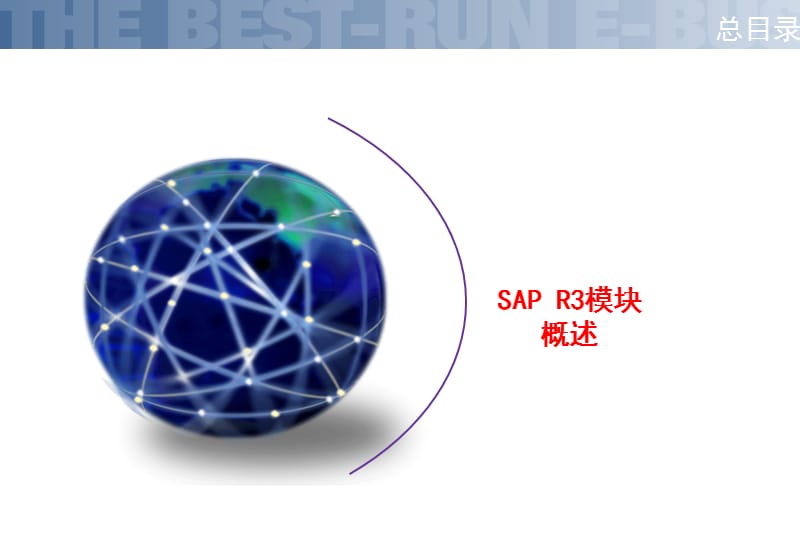 SAP系统入门培训.ppt_第3页