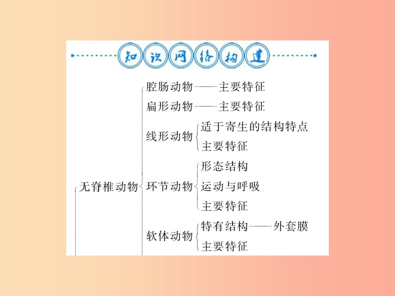 2019年八年级生物上册 第五单元 第1章 动物的主要类群自主复习习题课件 新人教版.ppt_第2页