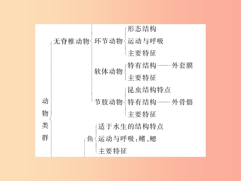 2019年八年级生物上册 第五单元 第1章 动物的主要类群自主复习习题课件 新人教版.ppt_第3页