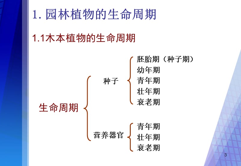 园林植物生长发育基本规律ppt课件_第3页