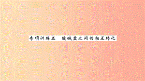 湖北省2019中考化學(xué)一輪復(fù)習(xí) 專項訓(xùn)練五 酸堿鹽之間的相互轉(zhuǎn)化習(xí)題課件.ppt