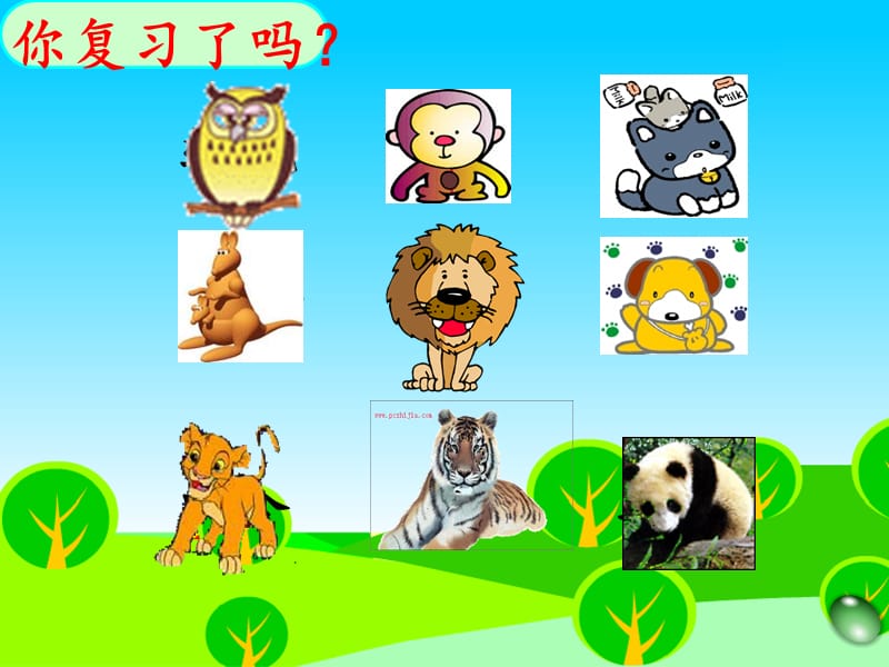 《从现在开始》PPT课件.ppt_第1页