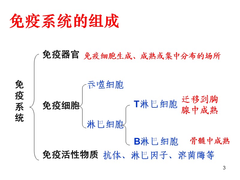 有趣味的免疫ppt课件_第3页