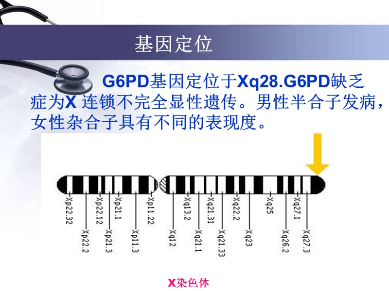 葡糖-6-磷酸脱氢酶缺乏蚕豆病.ppt_第3页