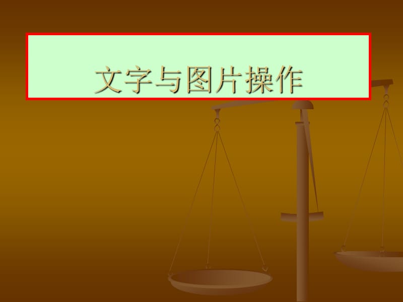 《文字与图片操作》PPT课件.ppt_第1页