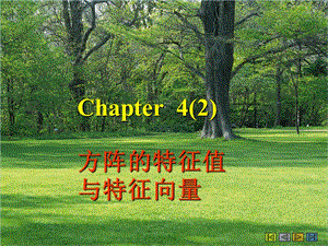 線性代數(shù)chapter4方陣的特征值與特征向量.ppt