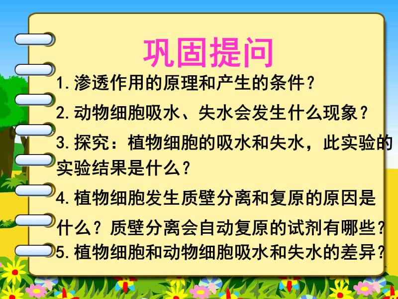 高中生物必修一物膜的流动镶嵌模型.ppt_第2页