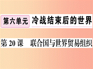 九年級(jí)歷史下冊(cè) 第六單元 冷戰(zhàn)結(jié)束后的世界 第20課 聯(lián)合國與世界貿(mào)易組織習(xí)題課件 新人教版.ppt