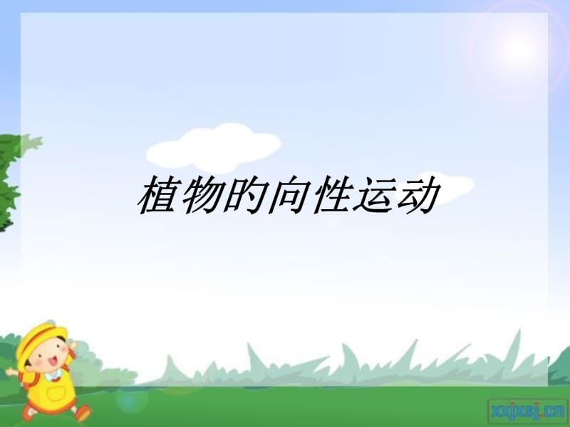 《植物旳向性运动》PPT课件.ppt_第1页