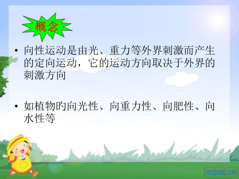 《植物旳向性运动》PPT课件.ppt_第2页