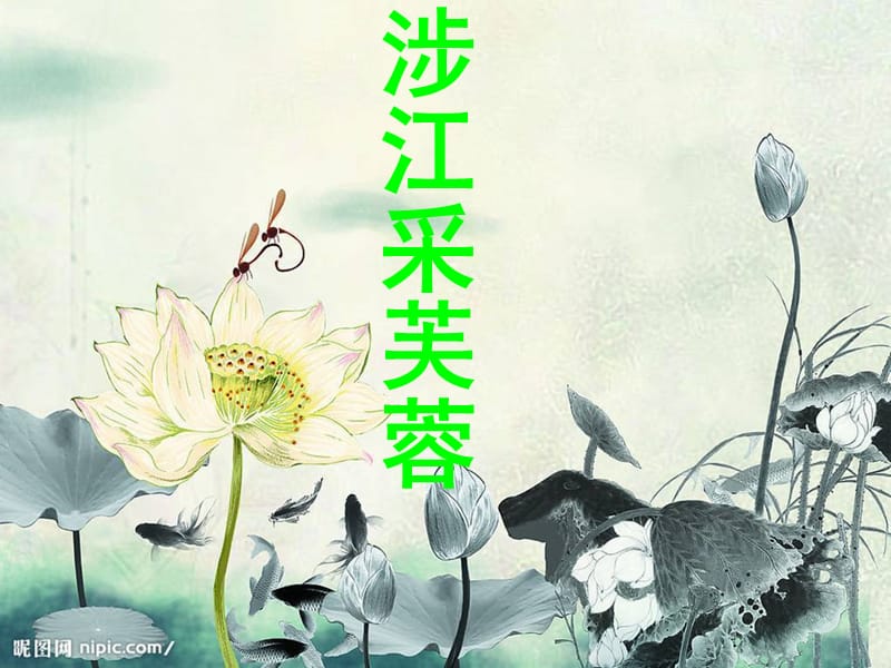 《涉江采芙蓉龙秀》PPT课件.ppt_第1页