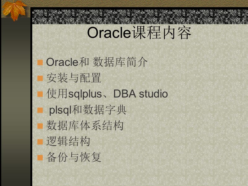 《OracleDBA浅析》PPT课件.ppt_第2页