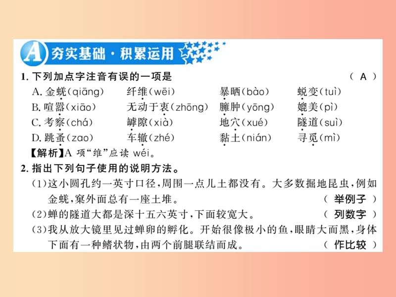 （黃岡專版）2019年八年級(jí)語(yǔ)文上冊(cè) 第五單元 19 蟬習(xí)題課件 新人教版.ppt_第1頁(yè)