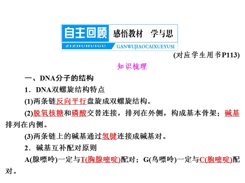 DNA分子的结构与复制、基因是的本质.ppt_第2页