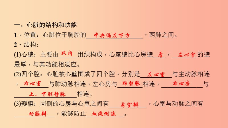 七年级生物下册 第四单元 第四章 第三节 输送血液的泵 心脏（第1课时 心脏的结构和功能）习题 新人教版.ppt_第2页