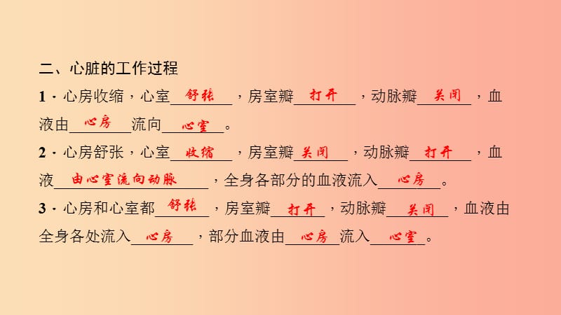 七年级生物下册 第四单元 第四章 第三节 输送血液的泵 心脏（第1课时 心脏的结构和功能）习题 新人教版.ppt_第3页