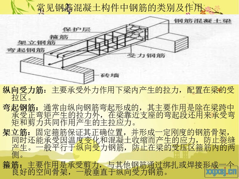 钢筋工程量计算基础知识(灰常实用).ppt_第3页