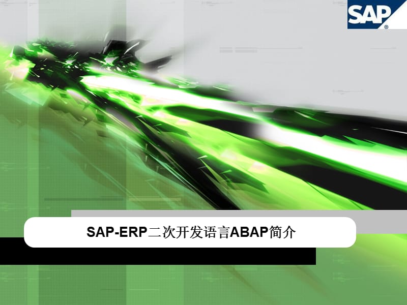 SAP-ERP二次开发语言ABAP简介.ppt_第1页