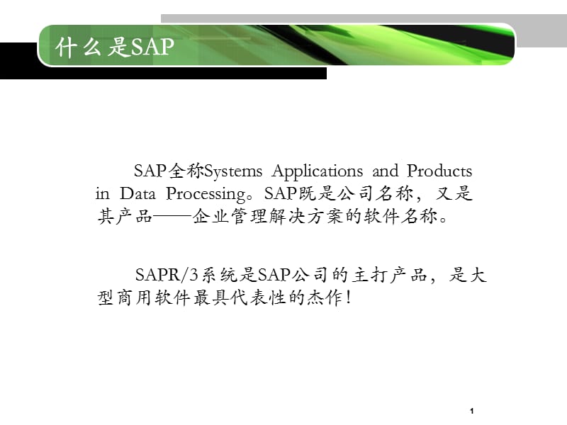 SAP-ERP二次开发语言ABAP简介.ppt_第2页