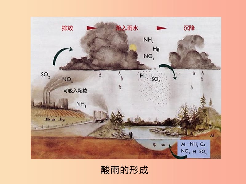 七年级生物下册 4.7.2《探究环境污染对生物的影响》复习课件 新人教版.ppt_第2页