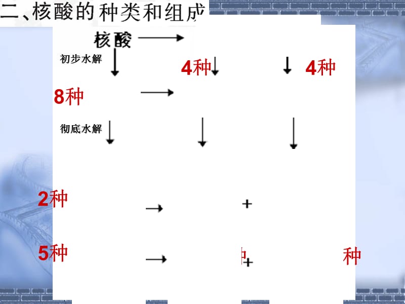 轮复习必修一2-3核酸、糖类、脂质.ppt_第3页