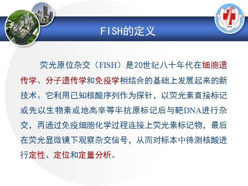 FISH技术在血液肿瘤中的应用.ppt_第2页