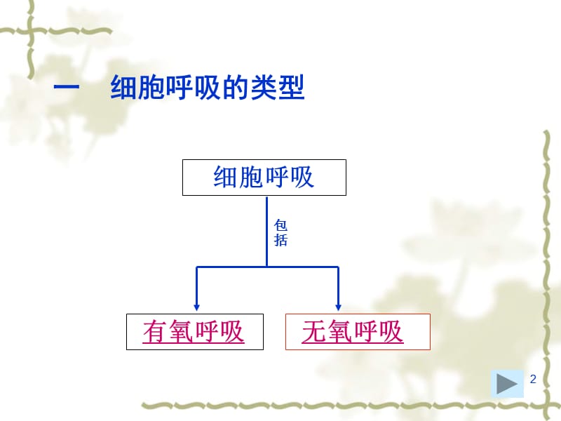 有氧呼吸和无氧呼吸的区别图ppt课件_第2页