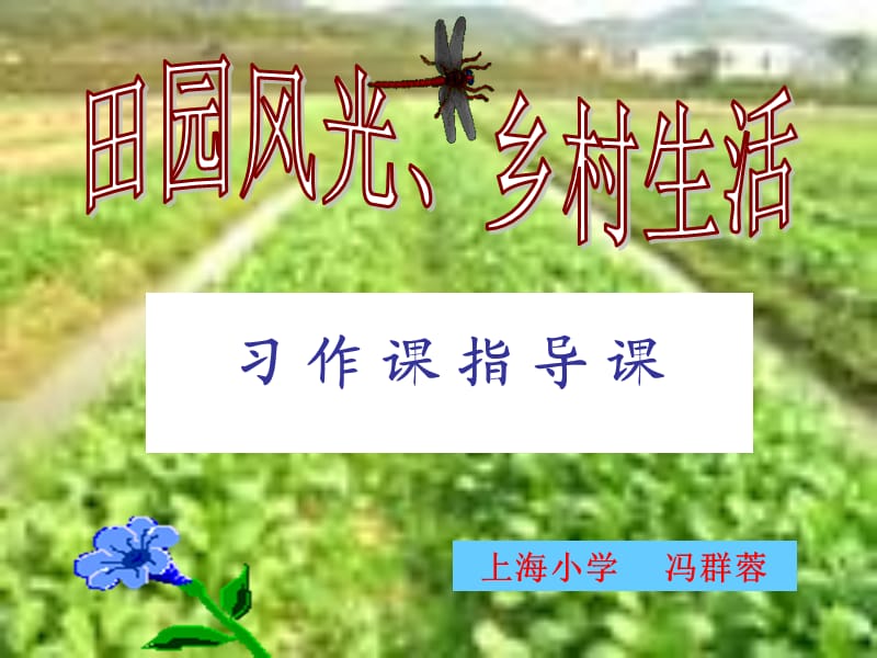 田園風(fēng)光鄉(xiāng)村生活(習(xí)作指導(dǎo))馮群蓉.ppt_第1頁