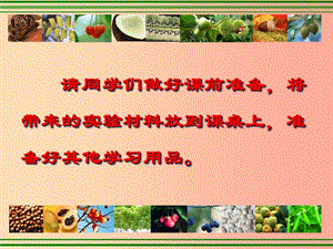 吉林省七年级生物上册3.1.2种子植物课件 新人教版.ppt