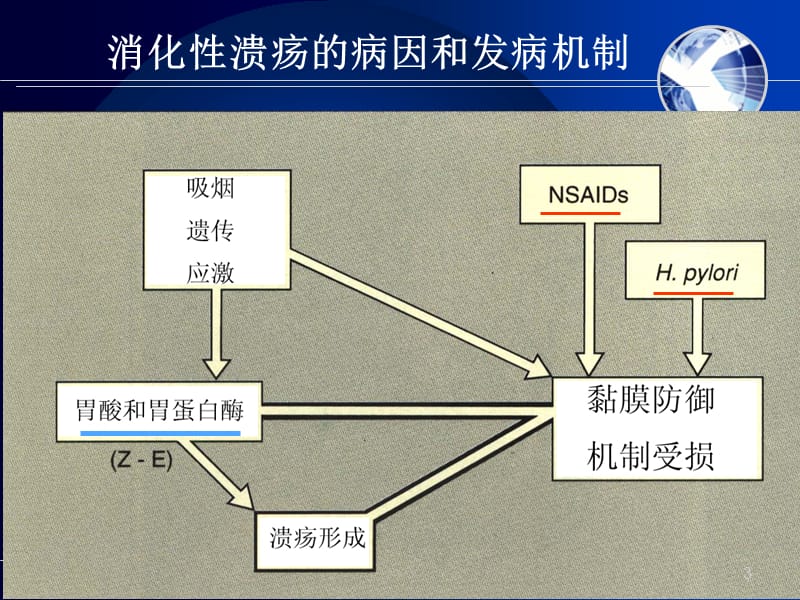 幽门螺杆菌治疗护理ppt课件_第3页