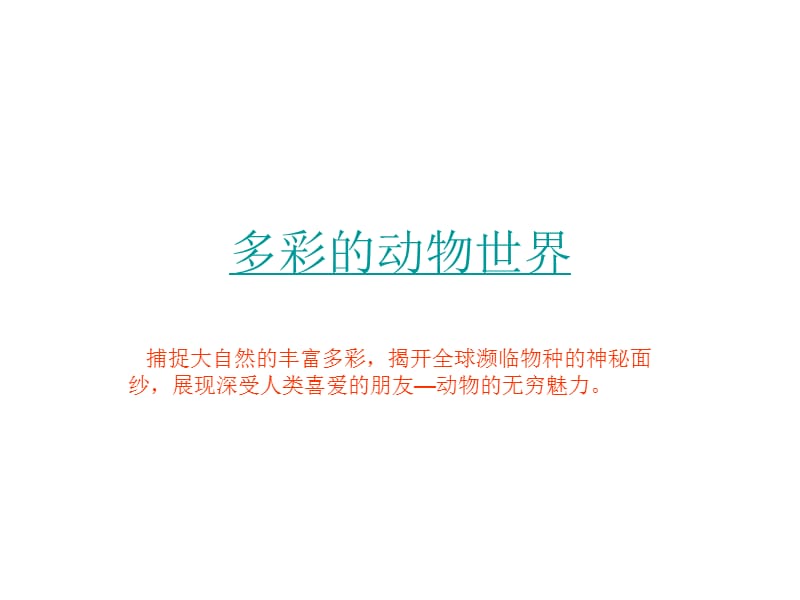 《多彩的动物世界》PPT课件.ppt_第1页