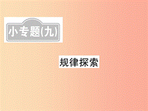 （新課標(biāo)）2019中考數(shù)學(xué)復(fù)習(xí) 小專題（九）規(guī)律探究（課后提升）課件.ppt