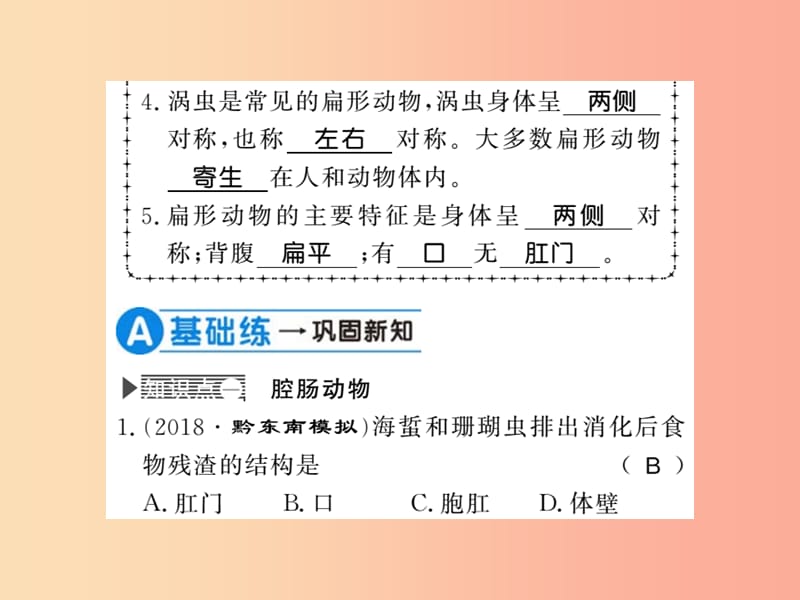 2019年八年级生物上册 第五单元 第1章 第1节 腔肠动物和扁形动物习题课件 新人教版.ppt_第3页