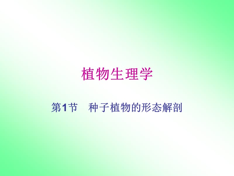 《植物与生理学》PPT课件.ppt_第1页