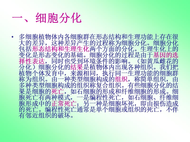 《植物与生理学》PPT课件.ppt_第2页