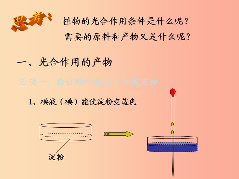 七年级生物上册3.5.1光合作用课件2新版北师大版.ppt_第3页