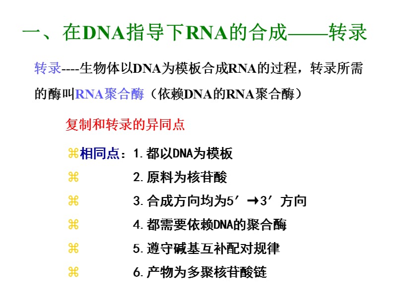 BiochemistryBRNA的生物合成和加工.ppt_第3页