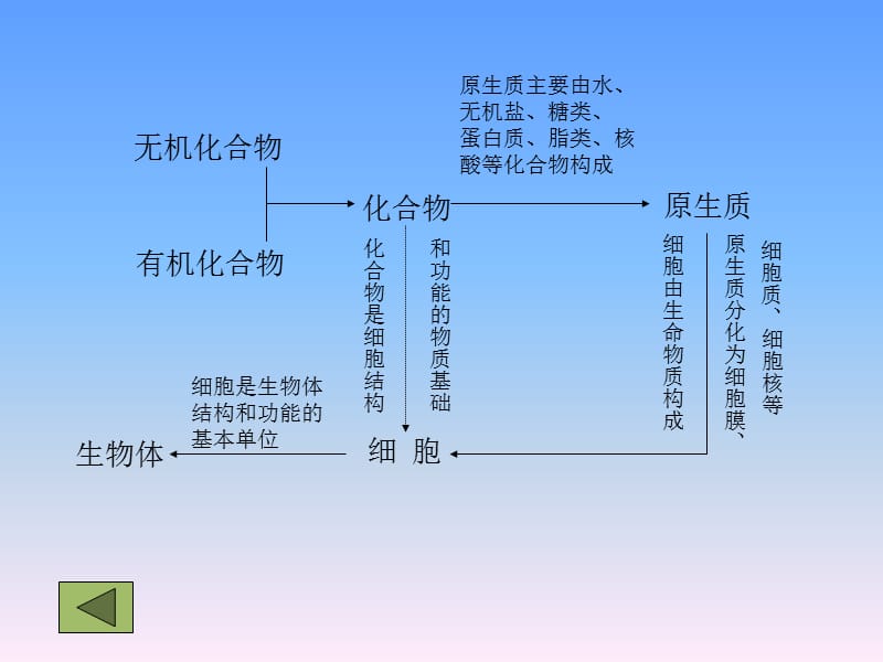 《蛋白质化学王珂》PPT课件.ppt_第2页