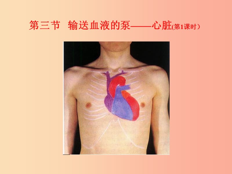 广东省七年级生物下册 4.4.3 输送血液的泵 心脏课件 新人教版.ppt_第1页