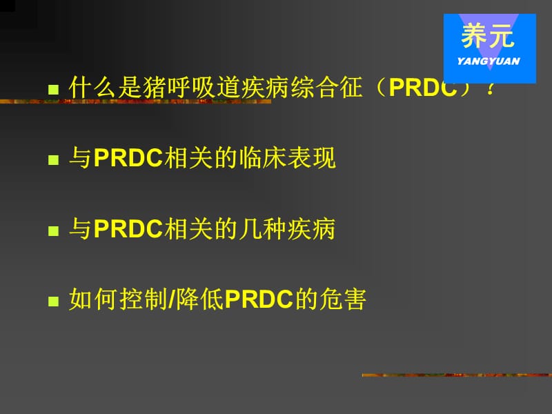 annong呼吸道疾病.ppt_第2页