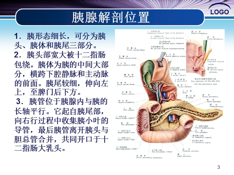 胰十二指肠切除热点问题浅谈ppt课件_第3页