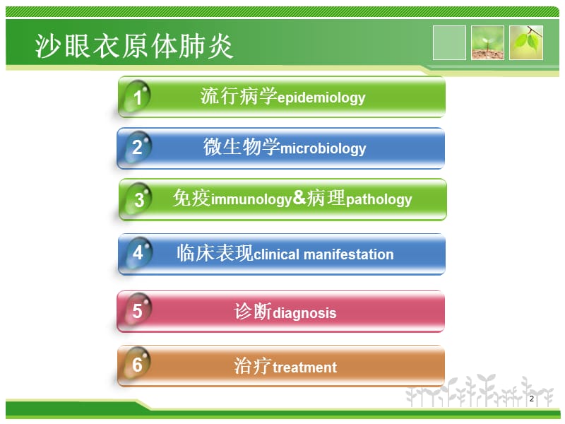 婴儿沙眼衣原体肺炎ppt课件_第2页