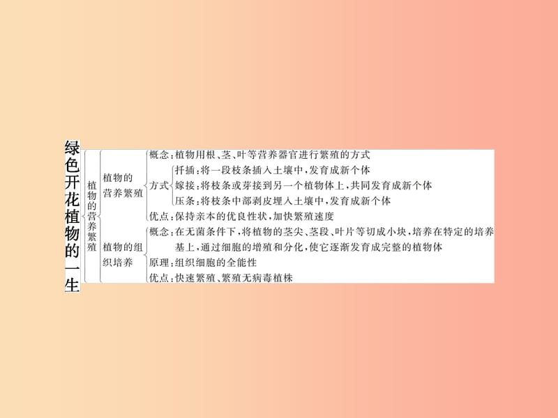 八年级生物上册第四单元第一章绿色开花植物的一生本章整合课件新版济南版.ppt_第3页