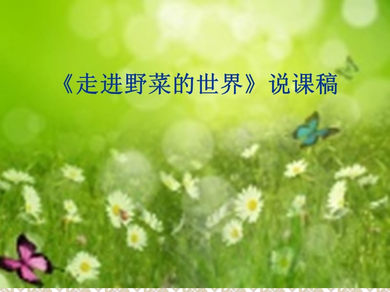 《走进野菜的世界》.ppt_第1页