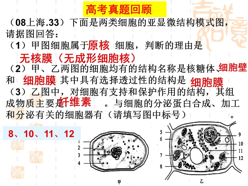 细胞的结构和功能专题辅导.ppt_第3页