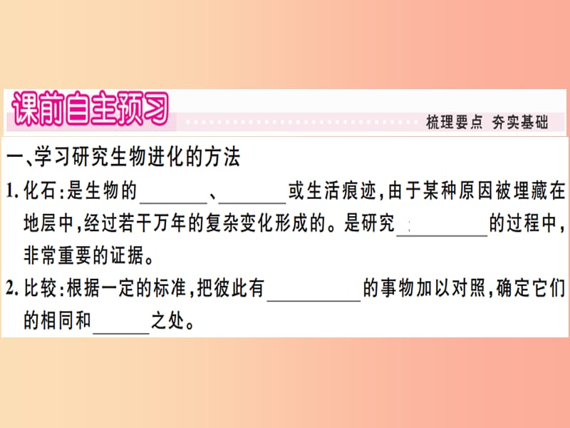 2019春八年级生物下册 第七单元 第三章 第二节 生物进化的历程习题课件 新人教版.ppt_第1页