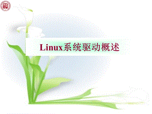 Linux系統(tǒng)驅動概述.ppt