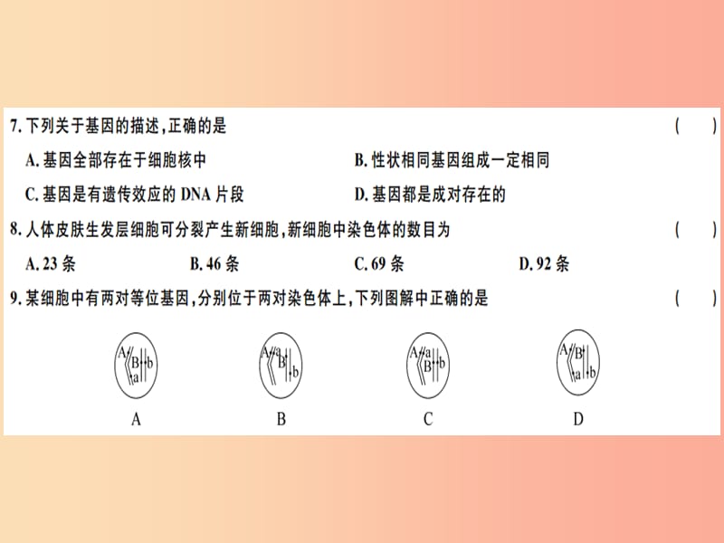 2019春八年级生物下册 第七单元 第二章 生物的遗传和变异检测卷课件 新人教版.ppt_第3页