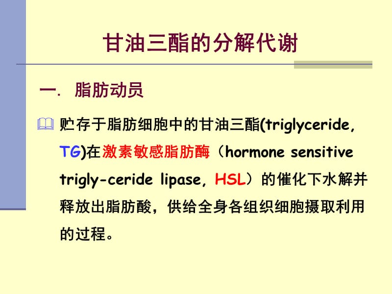 贮存于脂肪细胞中的甘油三酯.ppt_第1页